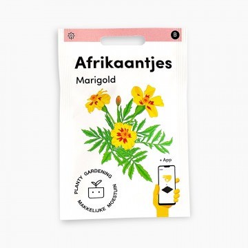 Afrikaantjes zaden