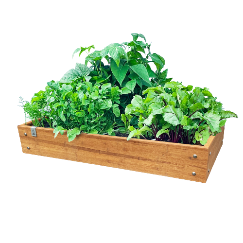 Bamboebak met 8 vakken