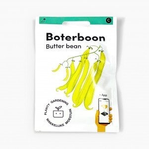Boterboon zaden