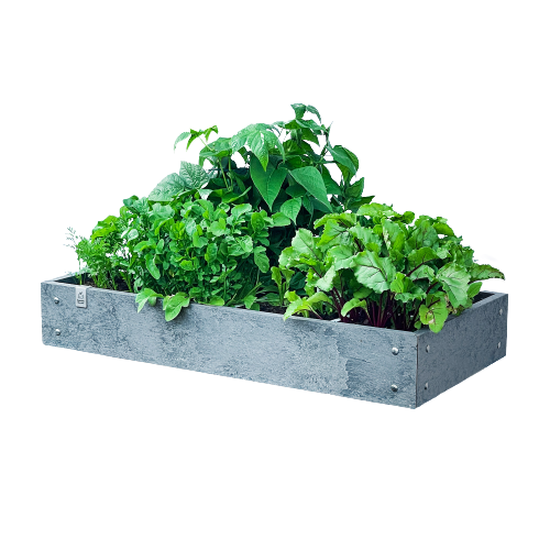 Extreem duurzame moestuinbak