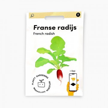 Franse radijs zaden