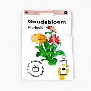 Goudsbloem zaden