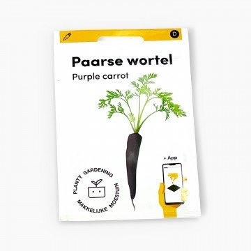 Paarse wortel zaden