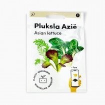 Pluksla azie zaden