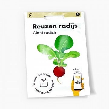 Reuzen radijs zaden