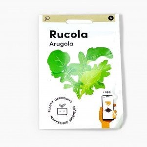 Rucola zaden