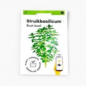 Struikbasilicum zaden