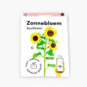 Zonnebloem zaden